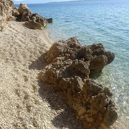 Neda Živogošće