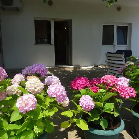 Apartment Neda Zivogosce
