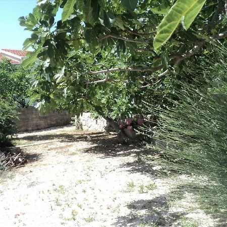 Apartament Neda *