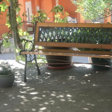Neda Živogošće