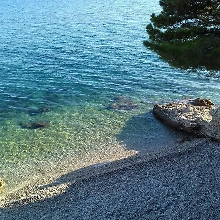 Apartament Neda Živogošće