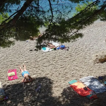 Neda * Živogošće